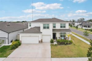 13055 WILLOW GROVE DRIVE, RIVERVIEW, FL 33579 - MLS#MFRTB8495329