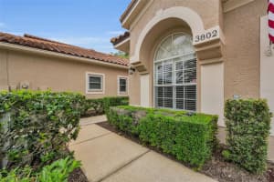 3802 DARSTON STREET, PALM HARBOR, FL 34685 - MLS#MFRTB8495348
