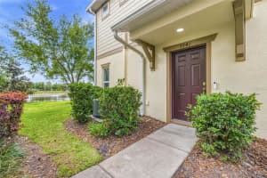 9341 AMERICAN HICKORY LANE, RIVERVIEW, FL 33578 - MLS#MFRTB8495350