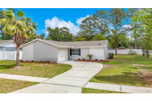 14031 ARBOR KNOLL CIRCLE, TAMPA, FL 33625 - MLS#MFRTB8495355