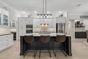 421 PINE BLUFF DRIVE, LUTZ, FL 33549 - MLS#MFRTB8495359