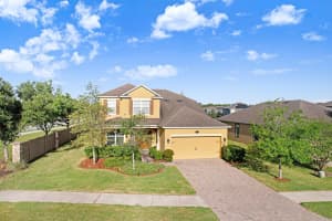 1653 NATURE VIEW DRIVE, LUTZ, FL 33558 - MLS#MFRTB8495373