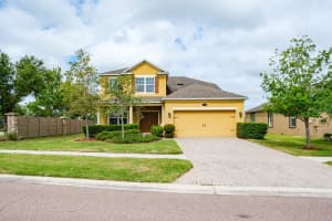 1653 NATURE VIEW DRIVE, LUTZ, FL 33558 - MLS#MFRTB8495373