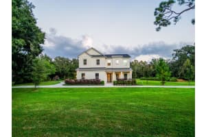 2890 ALEXANDRIA MARIE LANE, LUTZ, FL 33559 - MLS#MFRTB8495381