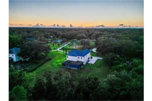 2890 ALEXANDRIA MARIE LANE, LUTZ, FL 33559 - MLS#MFRTB8495381