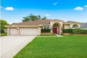 1848 Barn Owl Way, PALM HARBOR