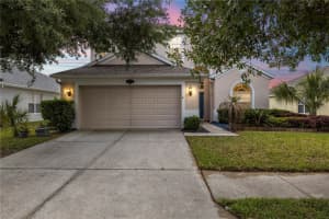 10913 OBSERVATORY WAY, TAMPA, FL 33647 - MLS#MFRTB8495431