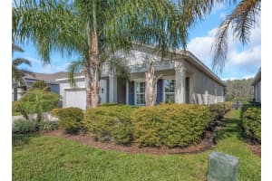 2427 PORTICO STREET, ODESSA, FL 33556 - MLS#MFRTB8495444