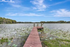 19207 CROOKED LANE, LUTZ, FL 33548 - MLS#MFRTB8495456