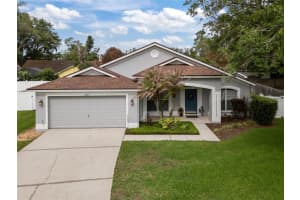 3617 TREELINE DRIVE, VALRICO, FL 33596 - MLS#MFRTB8495493
