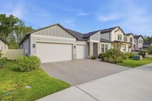 9845 SWORD FERN WAY, LAND O LAKES, FL 34637 - MLS#MFRTB8495523