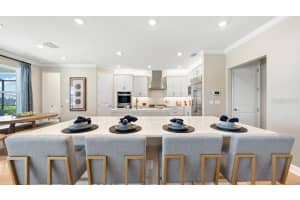 16237 ALPHA GROVE PLACE, ODESSA, FL 33556 - MLS#MFRTB8495557