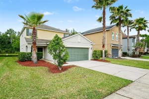 1677 LUDINGTON AVENUE, WESLEY CHAPEL, FL 33543 - MLS#MFRTB8495561