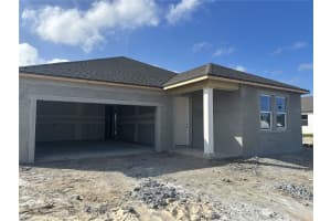 10155 HIDDEN HAMMOCK LOOP, PARRISH, FL 34219 - MLS#MFRTB8495638