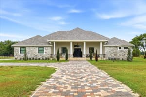 8459 HARVEY WALDEN DRIVE, PLANT CITY, FL 33565 - MLS#MFRTB8495649