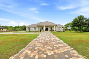 8459 HARVEY WALDEN DRIVE, PLANT CITY, FL 33565 - MLS#MFRTB8495649