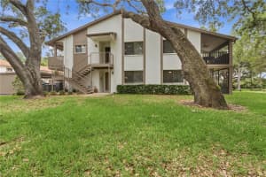 514 LONGFELLOW COURT #B, SAFETY HARBOR, FL 34695 - MLS#MFRTB8495665