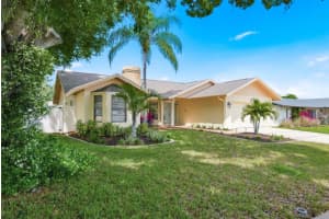 1011 Ridge Dr, PALM HARBOR