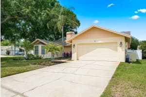 1011 RIDGE DRIVE, PALM HARBOR, FL 34683 - MLS#MFRTB8495674