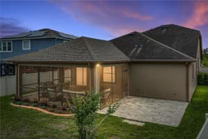 19099 LONG LAKE RANCH BOULEVARD, LUTZ, FL 33558 - MLS#MFRTB8495682