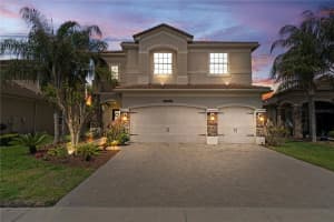 30351 TRISTANIA COURT, WESLEY CHAPEL, FL 33543 - MLS#MFRTB8495701