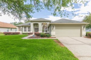 3516 SHADOWOOD DRIVE, VALRICO, FL 33596 - MLS#MFRTB8495707