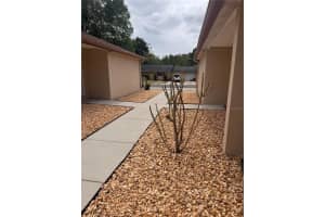 1125 ROHE STREET, TARPON SPRINGS, FL 34689 - MLS#MFRTB8495710