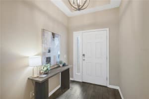 11450 AMAPOLA BLOOM COURT, RIVERVIEW, FL 33579 - MLS#MFRTB8495714