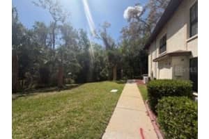 3301 CRYSTAL COURT, PALM HARBOR, FL 34685 - MLS#MFRTB8495736