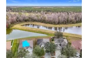 10918 ANCIENT FUTURES DRIVE, TAMPA, FL 33647 - MLS#MFRTB8495752