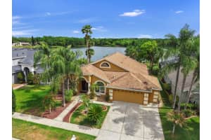 220 ROSANA DRIVE, BRANDON, FL 33511 - MLS#MFRTB8495767