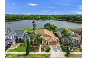 220 ROSANA DRIVE, BRANDON, FL 33511 - MLS#MFRTB8495767