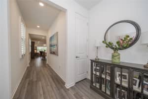 5989 SHOREBIRD BRANCH, LAND O LAKES, FL 34638 - MLS#MFRTB8495783