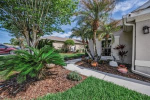 3054 BANYAN HILL LANE, LAND O LAKES, FL 34639 - MLS#MFRTB8495797