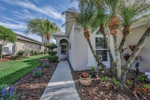 3054 BANYAN HILL LANE, LAND O LAKES, FL 34639 - MLS#MFRTB8495797