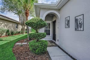 3054 BANYAN HILL LANE, LAND O LAKES, FL 34639 - MLS#MFRTB8495797
