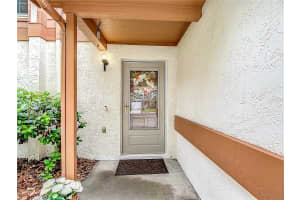 16851 LE CLARE SHORES DRIVE, TAMPA, FL 33624 - MLS#MFRTB8495830