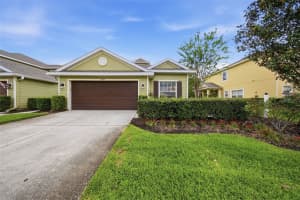 20115 Indian Rosewood Dr, TAMPA