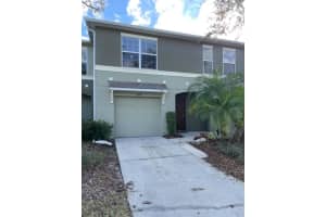 2950 Willowleaf Ln, WESLEY CHAPEL