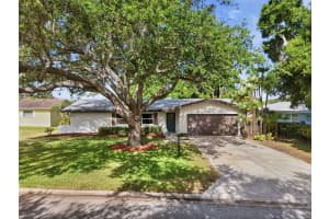 2150 SARAZEN DRIVE, DUNEDIN, FL 34698 - MLS#MFRTB8495849