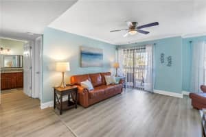 455 ALT 19 S #266, PALM HARBOR, FL 34683 - MLS#MFRTB8495854