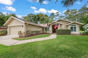 3311 TANGLEWOOD TRAIL, PALM HARBOR, FL 34685 - MLS#MFRTB8495862