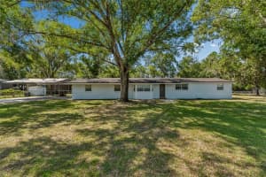 608 KRAZY LANE, LUTZ, FL 33548 - MLS#MFRTB8495909