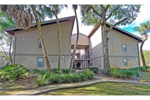 4207 Winding Moss Trl #208, TAMPA