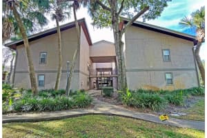 4207 WINDING MOSS TRAIL, TAMPA, FL 33613 - MLS#MFRTB8495910