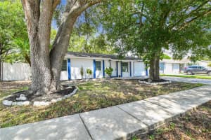 3679 SUGARCREEK DRIVE, TAMPA, FL 33619 - MLS#MFRTB8495925