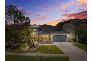 4501 ROLLING GREEN DRIVE, WESLEY CHAPEL, FL 33543 - MLS#MFRTB8495928