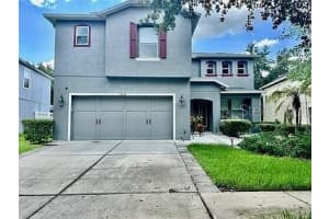 7232 Seedpod Loop, WESLEY CHAPEL