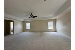 7232 SEEDPOD LOOP, WESLEY CHAPEL, FL 33545 - MLS#MFRTB8495938