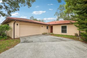 11732 MOFFAT AVENUE, TAMPA, FL 33617 - MLS#MFRTB8495956
